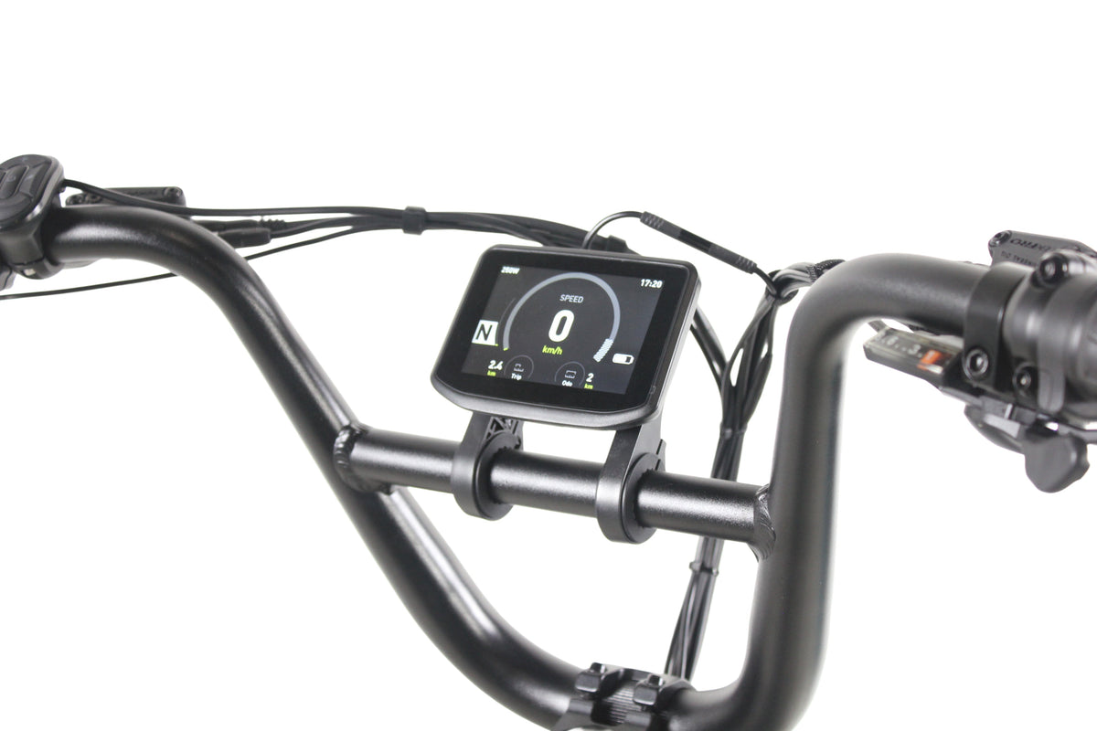 Care-Go Cargo eBike (CG2)