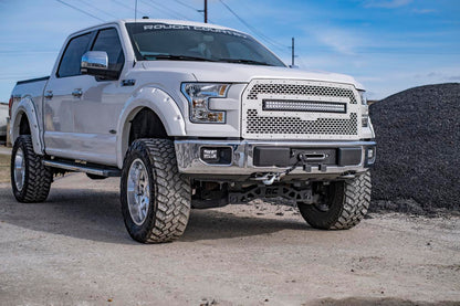 Hidden Winch Mount | Ford F-150 2WD/4WD (2015-2020)