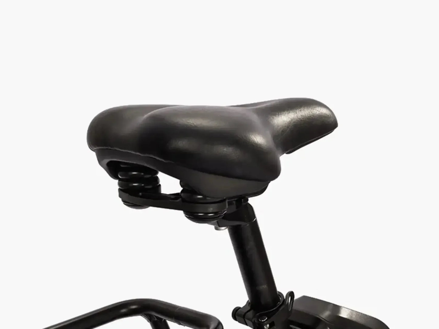 Ambition Fat Tire Elite Step-Thru eBike (F27e)