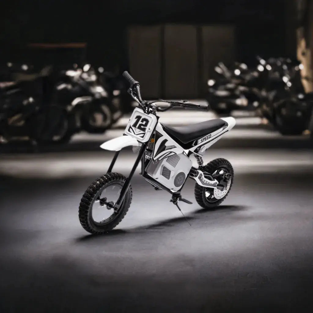 36V Freddo Electric Dirt Bike for Teens