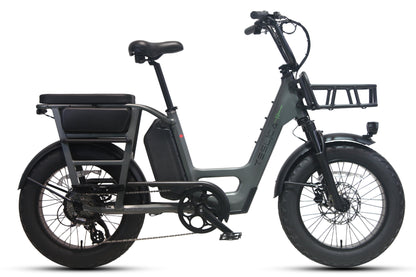 Care-Go Cargo eBike (CG2)
