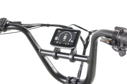 Care-Go Cargo eBike (CG2)