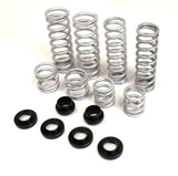 Dual Rate Springs Kit - Heavy Duty | Polaris RZR XP 900 Walker Evans Edition (2 Seat)