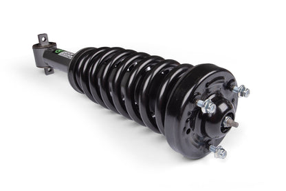 Loaded Strut | Single | 2 Inch Lift | F150 (14-26)