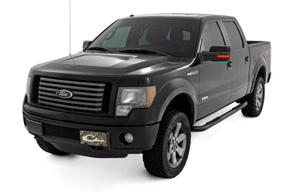 Nerf Steps | 3-Inch Tube | Crew Cab | Ford F-150 2WD/4WD (2009-2014)