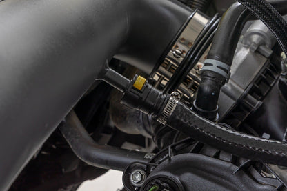Cold Air Intake Kit | 5.0L | Ford F-150 2WD/4WD (2021-2025)