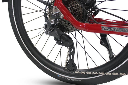 Freedom City Elite eBike (C3H)