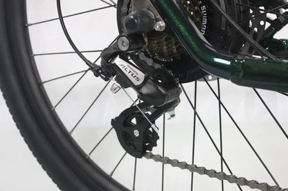 Freedom City Base eBike (C3H)