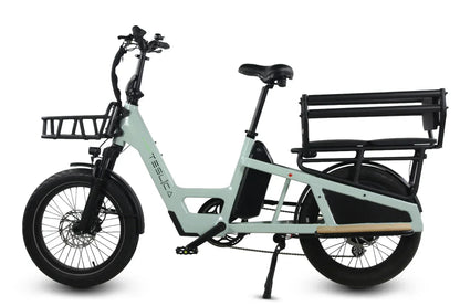 Care-Go Cargo Long-Tail 500W eBike (CG3) |  Top Speed 32 km/h | 150 Km Range