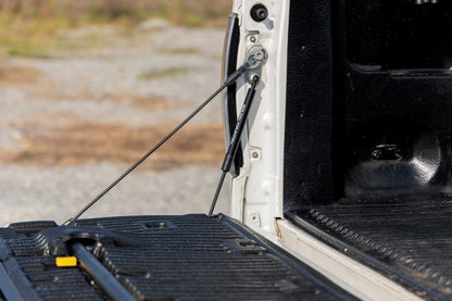 Tailgate Assist | Ford F-150 (2004-2014)