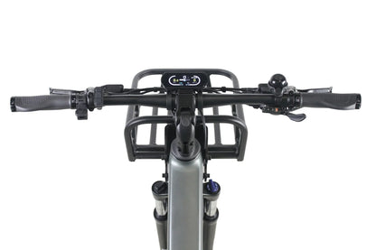 Purity Hybrid Elite eBike (H3H)