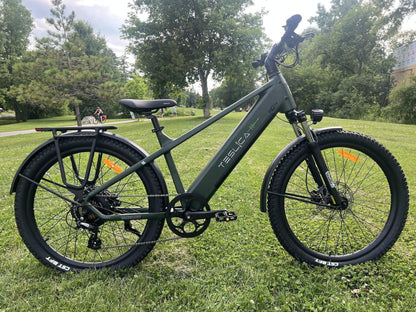 Purity Hybrid Elite eBike (H3H)