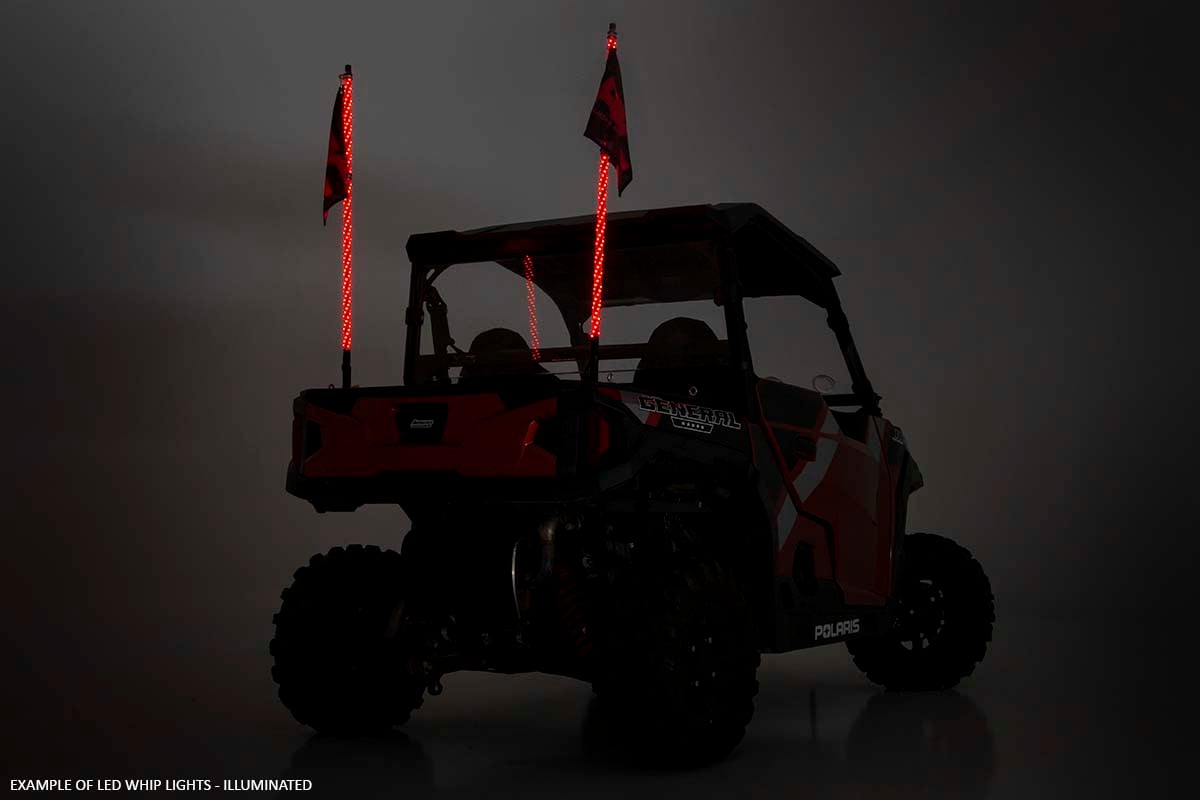 Whip Mount | Cage | Polaris RZR 4WD (2020-2021)