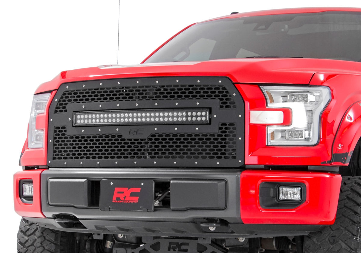 Mesh Grille | 30" Dual Row LED | Black | Ford F-150 2WD/4WD (15-17) - Off Road Canada